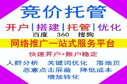 SEM推广技巧：成功案例深度剖析